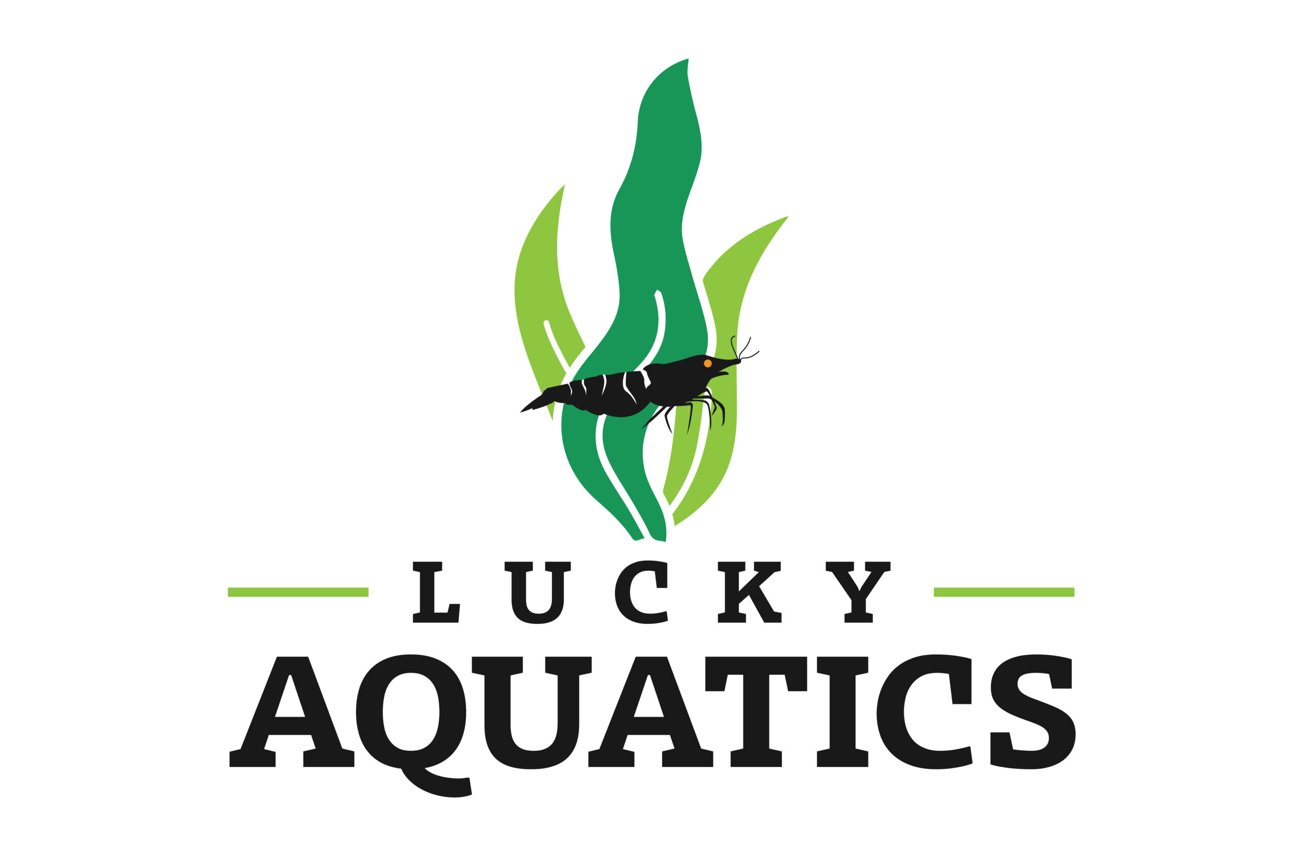 Lucky Aquatics logo