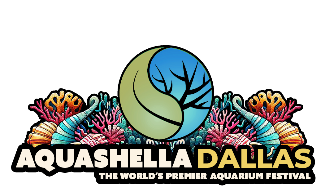 Aquashella Dallas – Aquashella